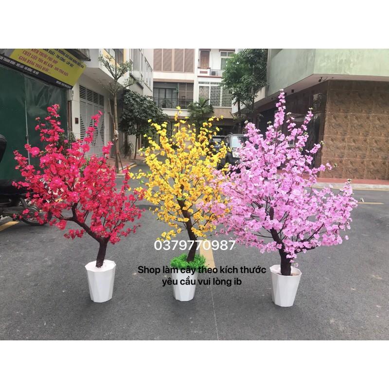 CHẬU CÂY HOÀN THIỆN - làm theo yêu cầu