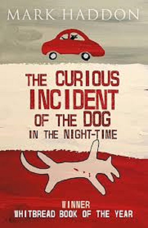 The Curious Incident of the Dog In the Night-time