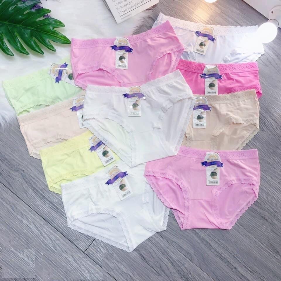 Bộ 10 quần lót cotton nữ viền ren - N16-10