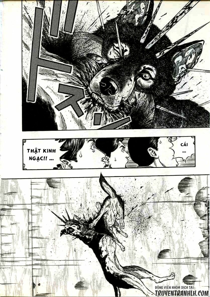 inugami chapter 15 41