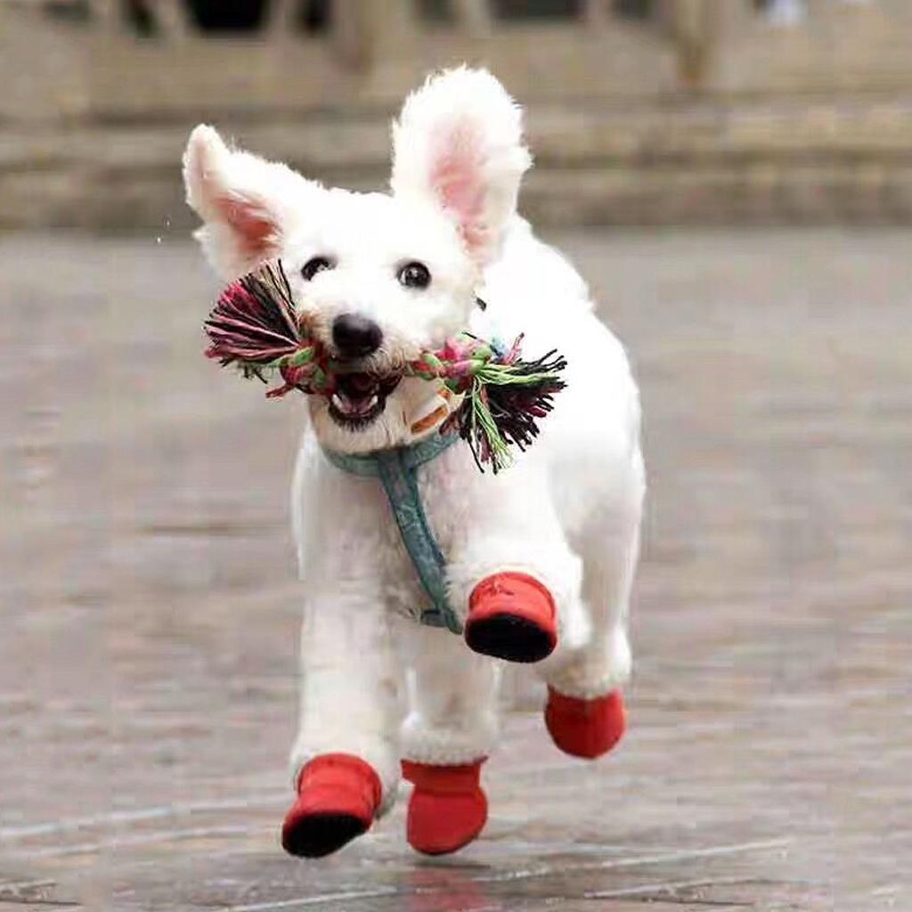 4 pcs/lot S/M/L/XL Pet Dog Shoes / Puppy Booties Rubber Anti Slip Waterproof XL