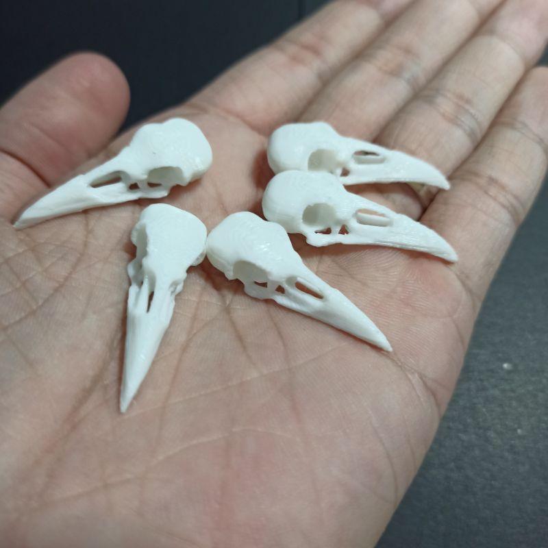 Set 10 Mô hình đầu lâu chim quạ dài 35mm dùng trang trí halloween, kinh dị, chuồng bò sát