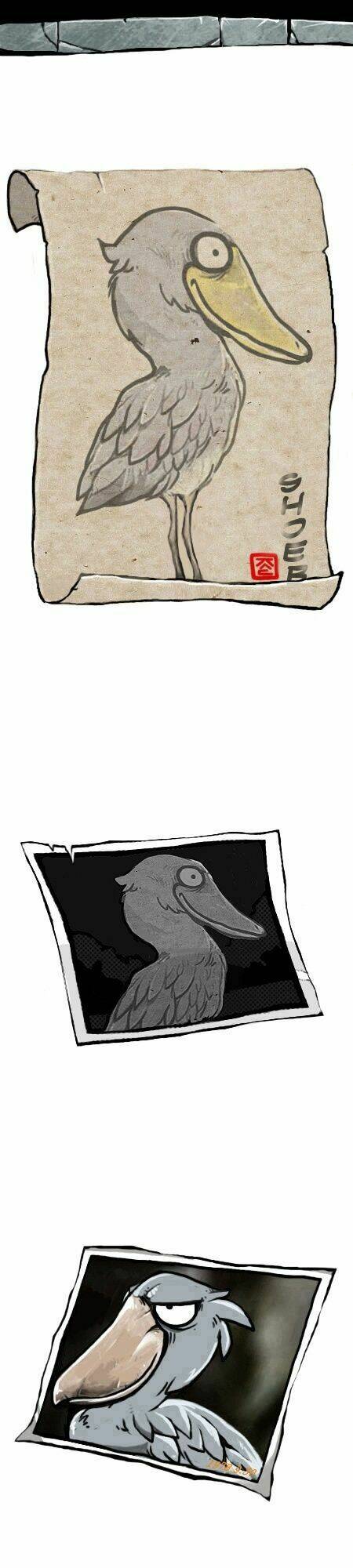 earth, human, and animal chapter 14 3