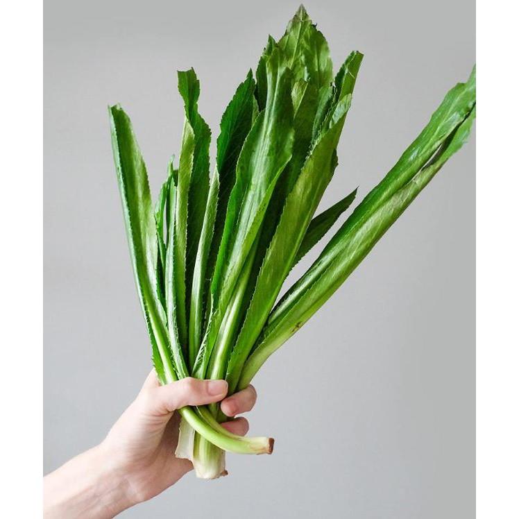Hạt giống Ngò Gai – Mùi Tàu 2gr/gói