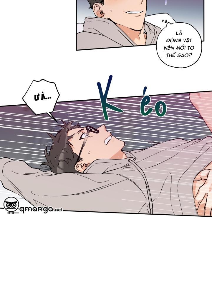 gâu gâu! chapter 11 34