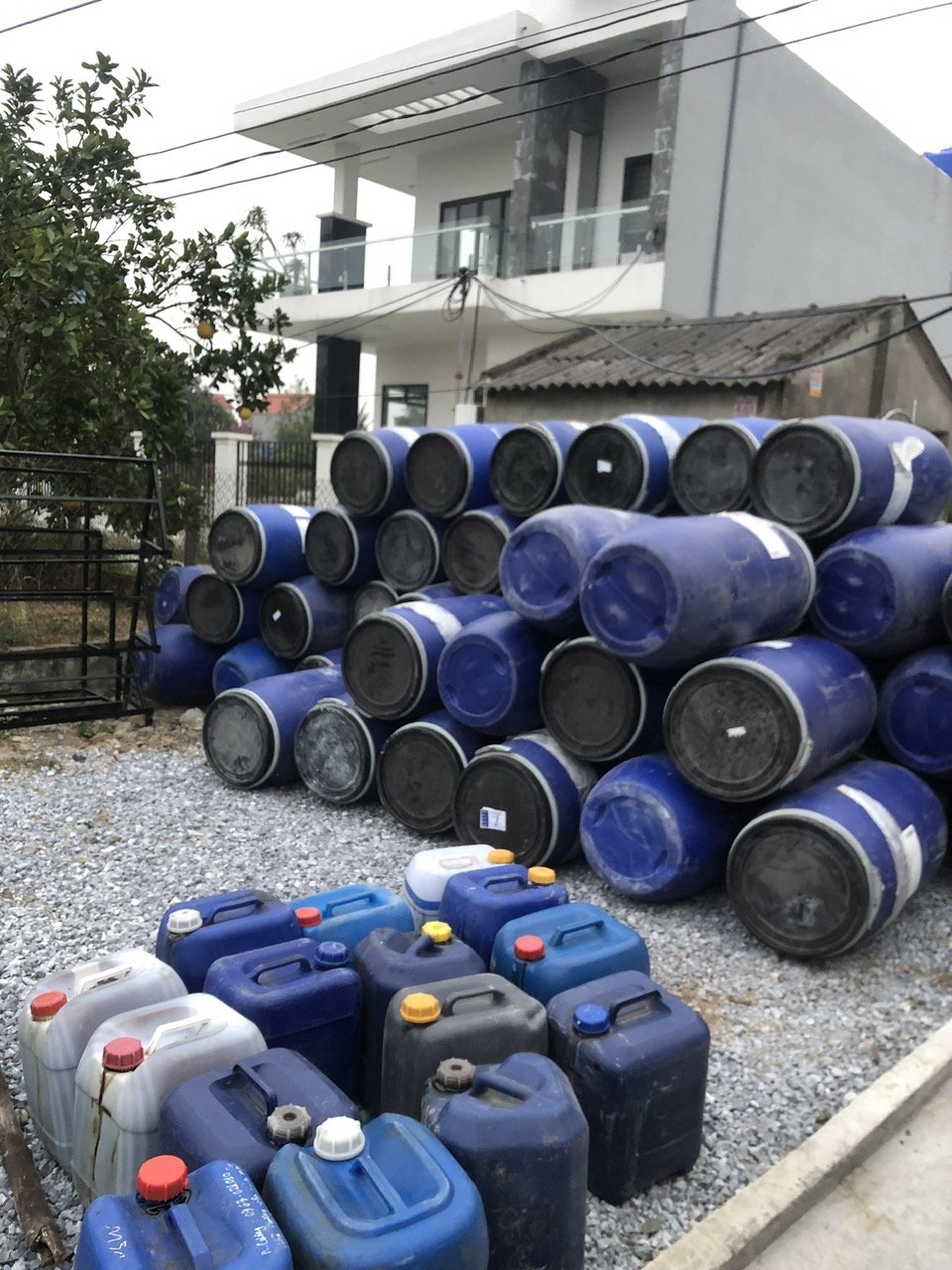 ĐẠM CÁ NGUYÊN CHẤT GIÁ XƯỞNG 3F – RAU SẠCH, TRÁI NGỌT, XANH LÁ MẤP THÂN, BÊN CÂY, TỐT ĐẤT.