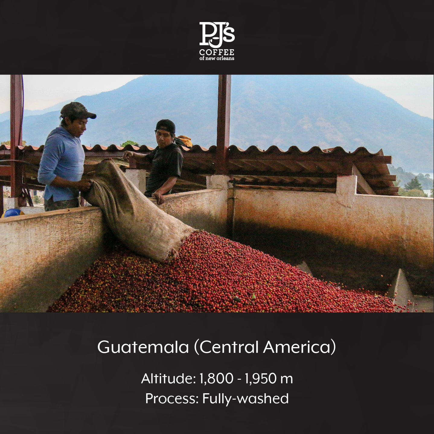 Guatemala Antigua (Medium Roast) - PJ's Coffee Cà Phê hạt