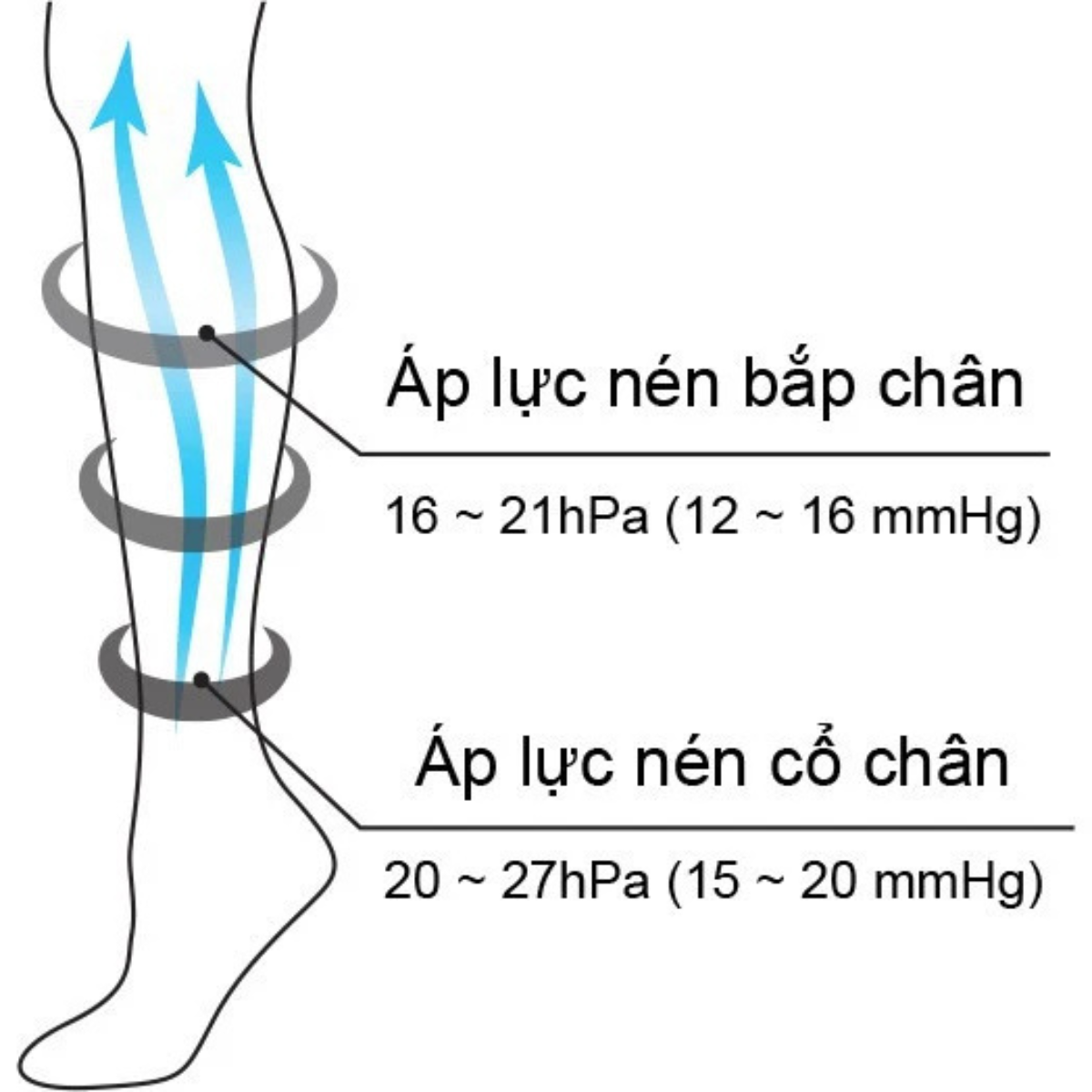 [ Mua 1 Tặng 1] Vớ Y Khoa Fukuske Nhật Bản, Hỗ Trợ Giảm Đau Mỏi Bắp Chân, Người Suy Giãn Tĩnh Mạch