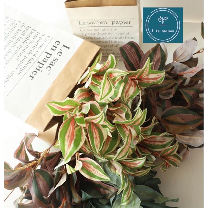 Cụm lá Peperomia cao 36cm bằng lụa dùng decor trang trí không gian sinh động tươi tắn, hoa event