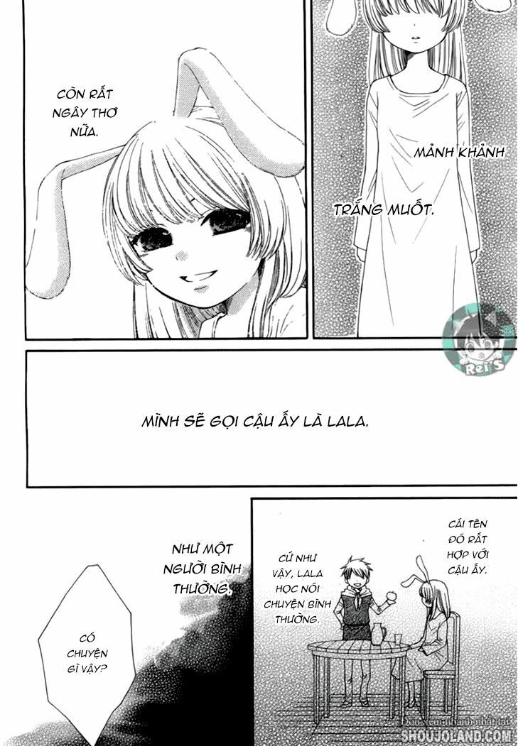 bình minh arcana chapter 41 10