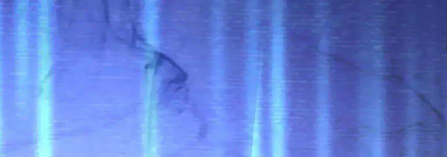 dưỡng thú vi phi chapter 2 25