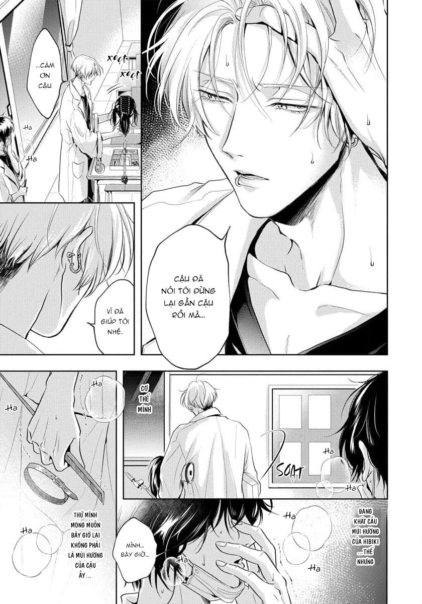 mùi hương khó cưỡng chapter 3 25