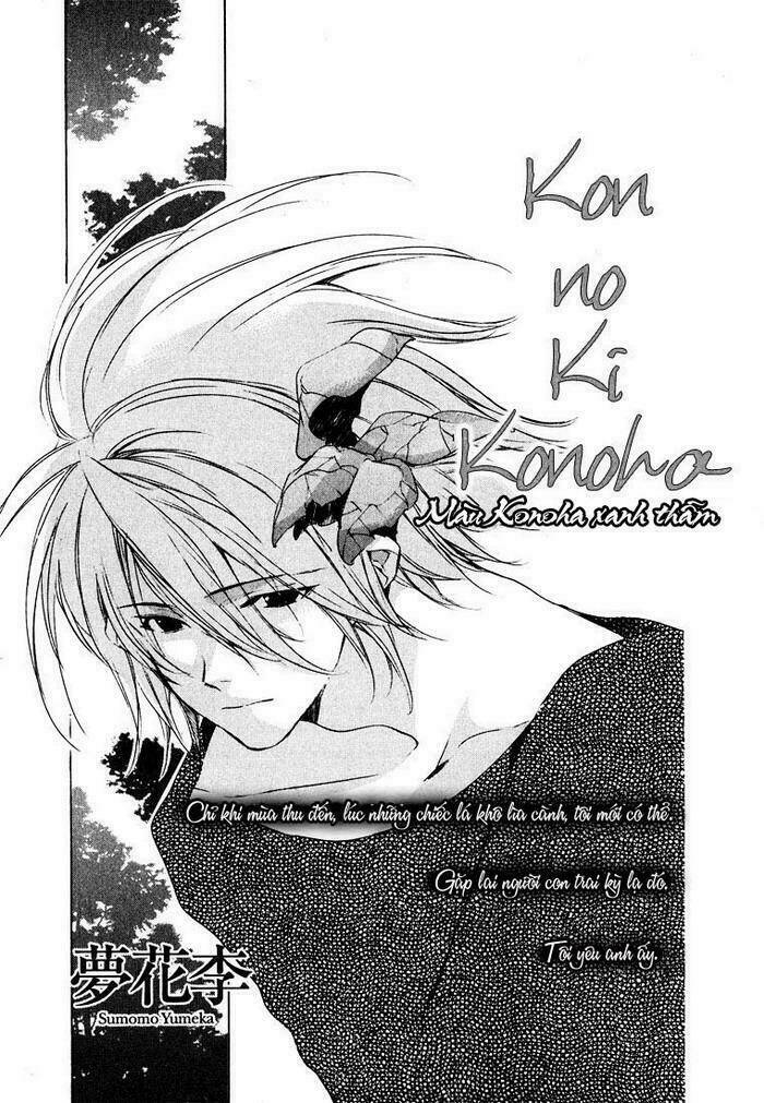 Kon No Ki Konoha ♦ Leaves Of The Deep Blue Tree Chapter 1: One shot - Trang 3