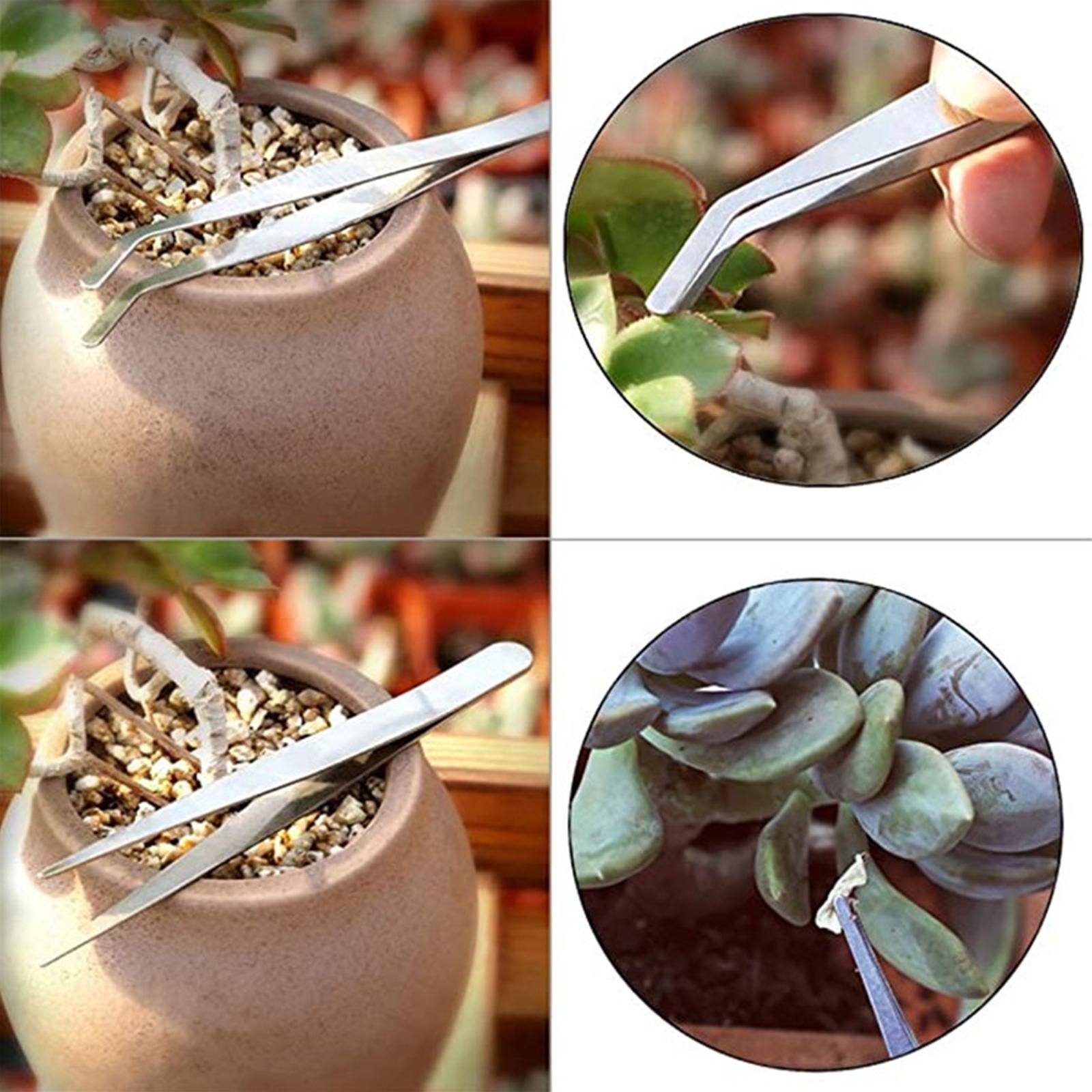 Bộ 12 Dụng Cụ Trồng Cây Trong Vườn Bonsai Cây Mọng Nước