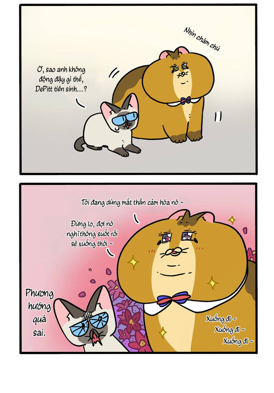 a mãn và mạch trà chapter 134.1 4