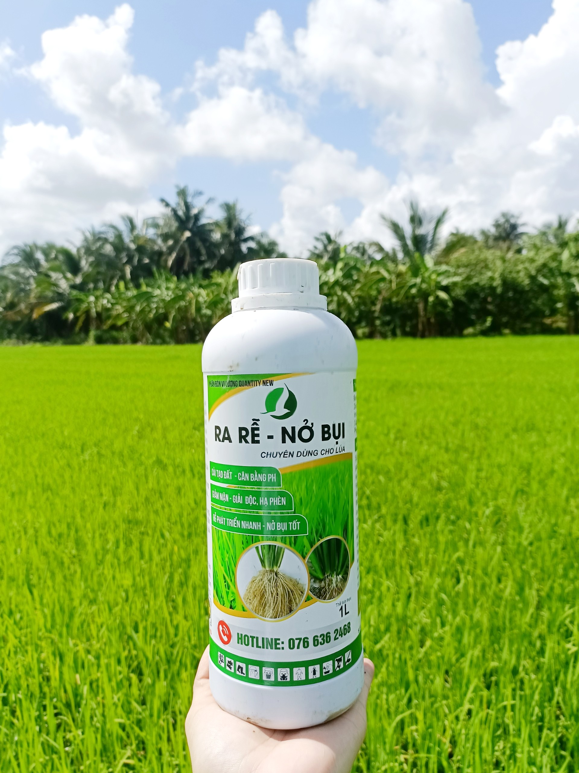 PHÂN BÓN GIÚP LÚA RA RỄ, NỞ BỤI MẠNH, PHÁT TRIỂN NHANH, XANH LÁ, MƯỚT LÁ - RA RỄ NỞ BỤI CHAI 1L