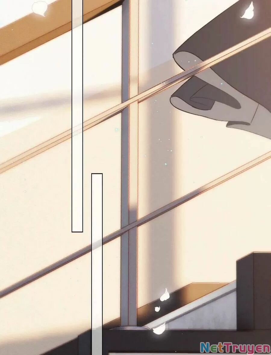 con tim rung động 2 chapter 145 19