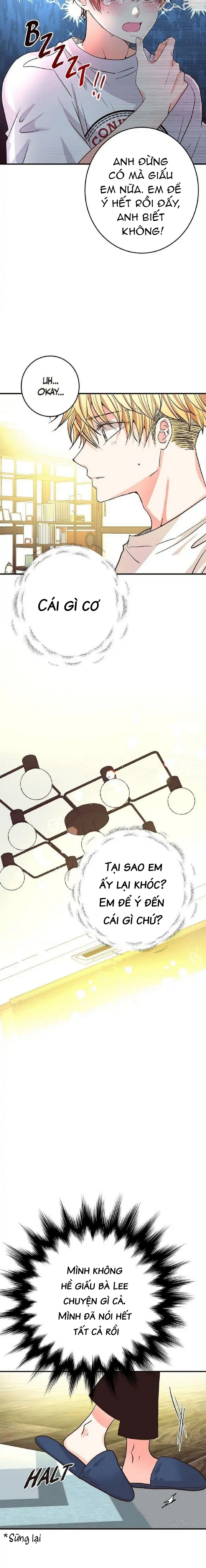 mối quan hệ phù hợp chapter 12 17