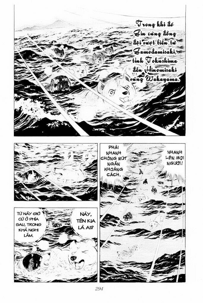 chú chó có nghĩa - ginga nagareboshi gin chapter 30.2 17