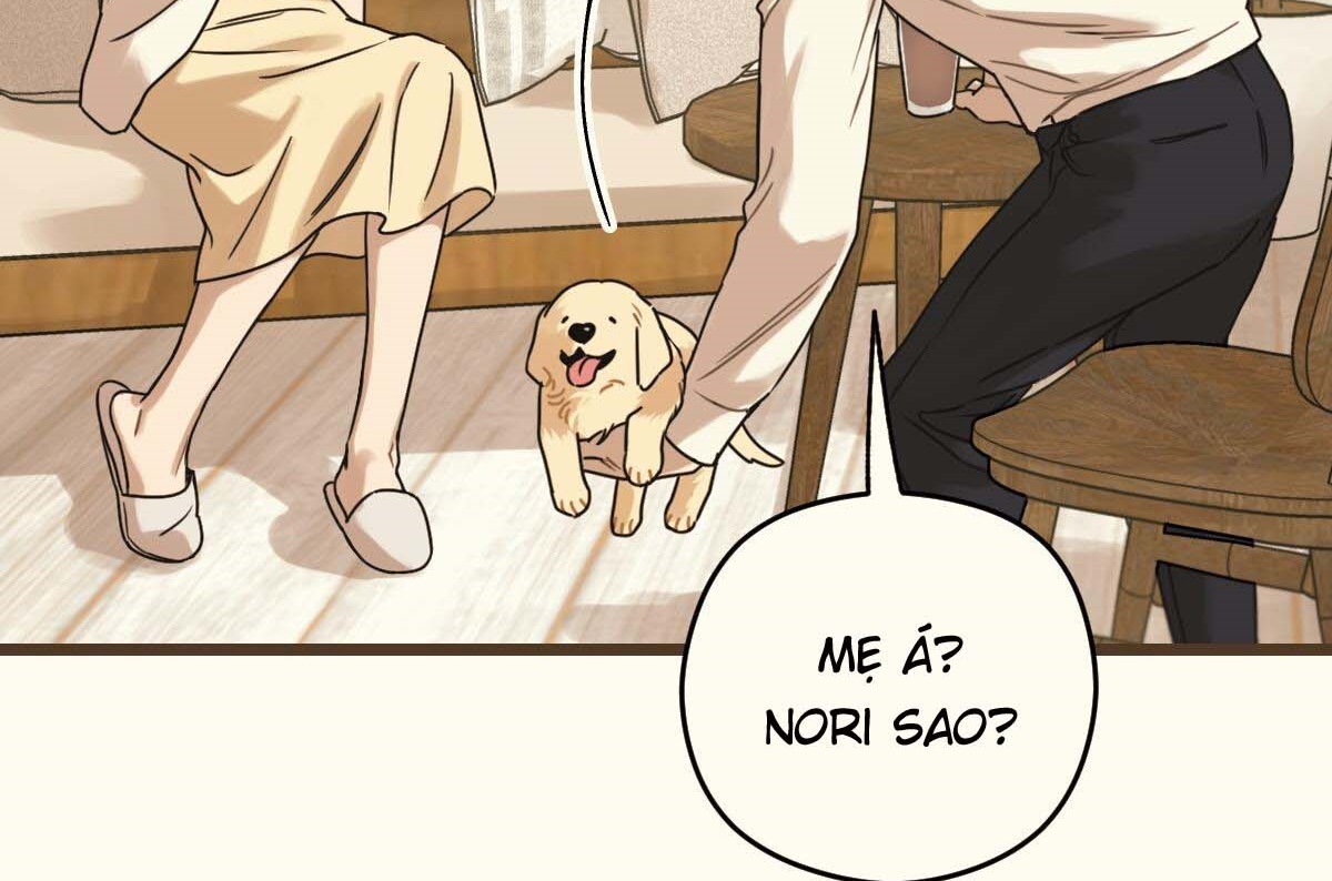 tương phùng chapter 27 75