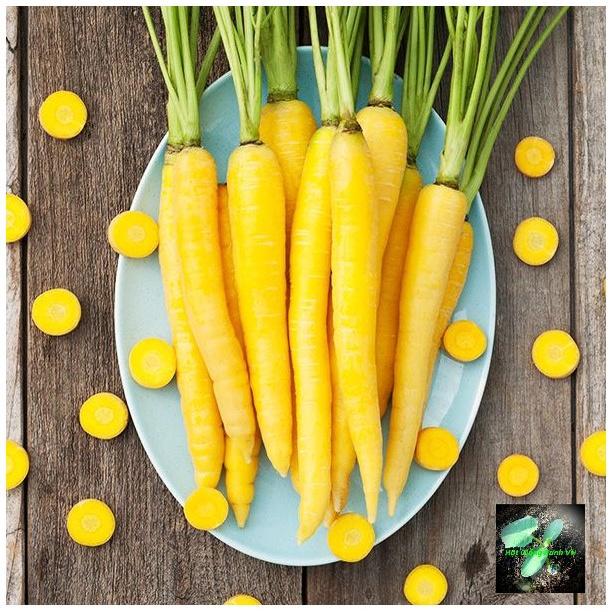 Hạt giống củ cà rốt vàng, đóng gói 5gr