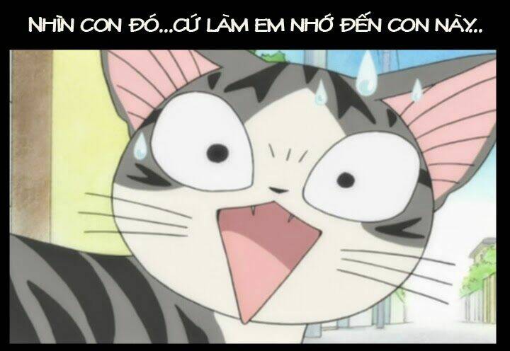 sukijanai kedo aishiteru chapter 7.5 5