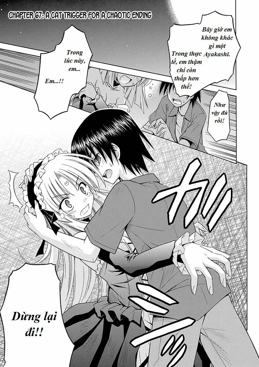 omamori himari chapter 67 2