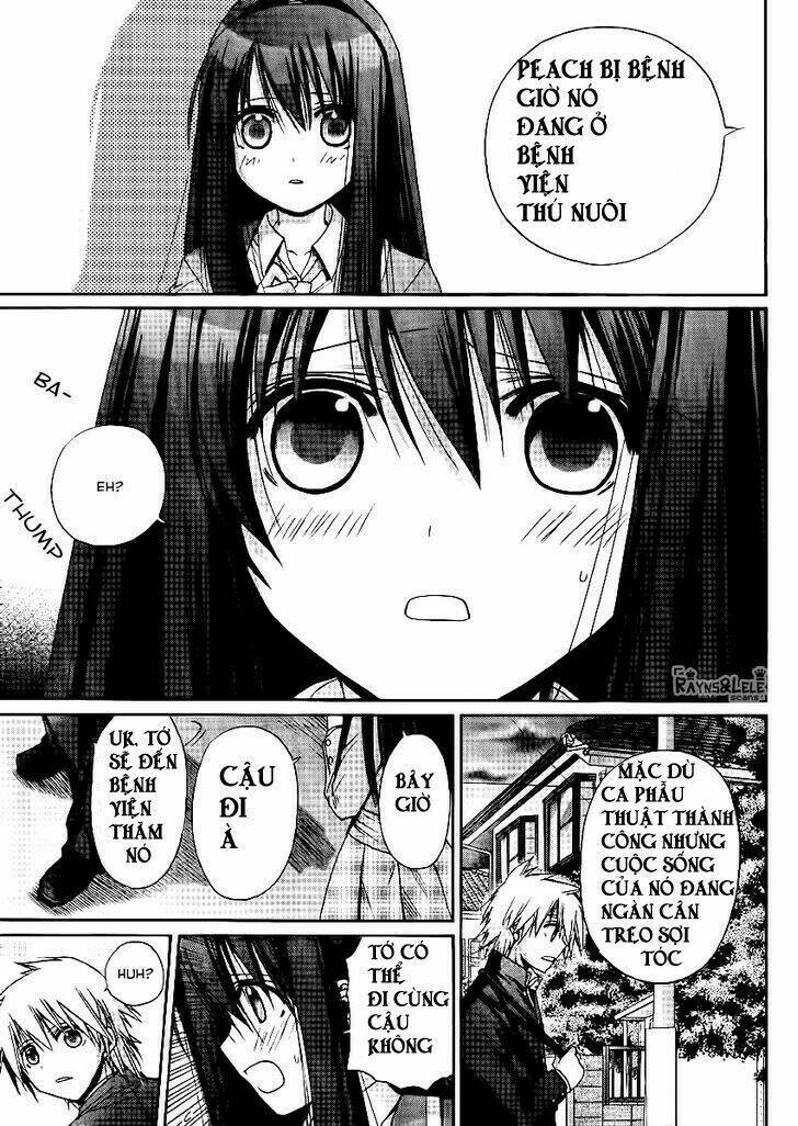 tổng hợp one shot. chapter 121 17