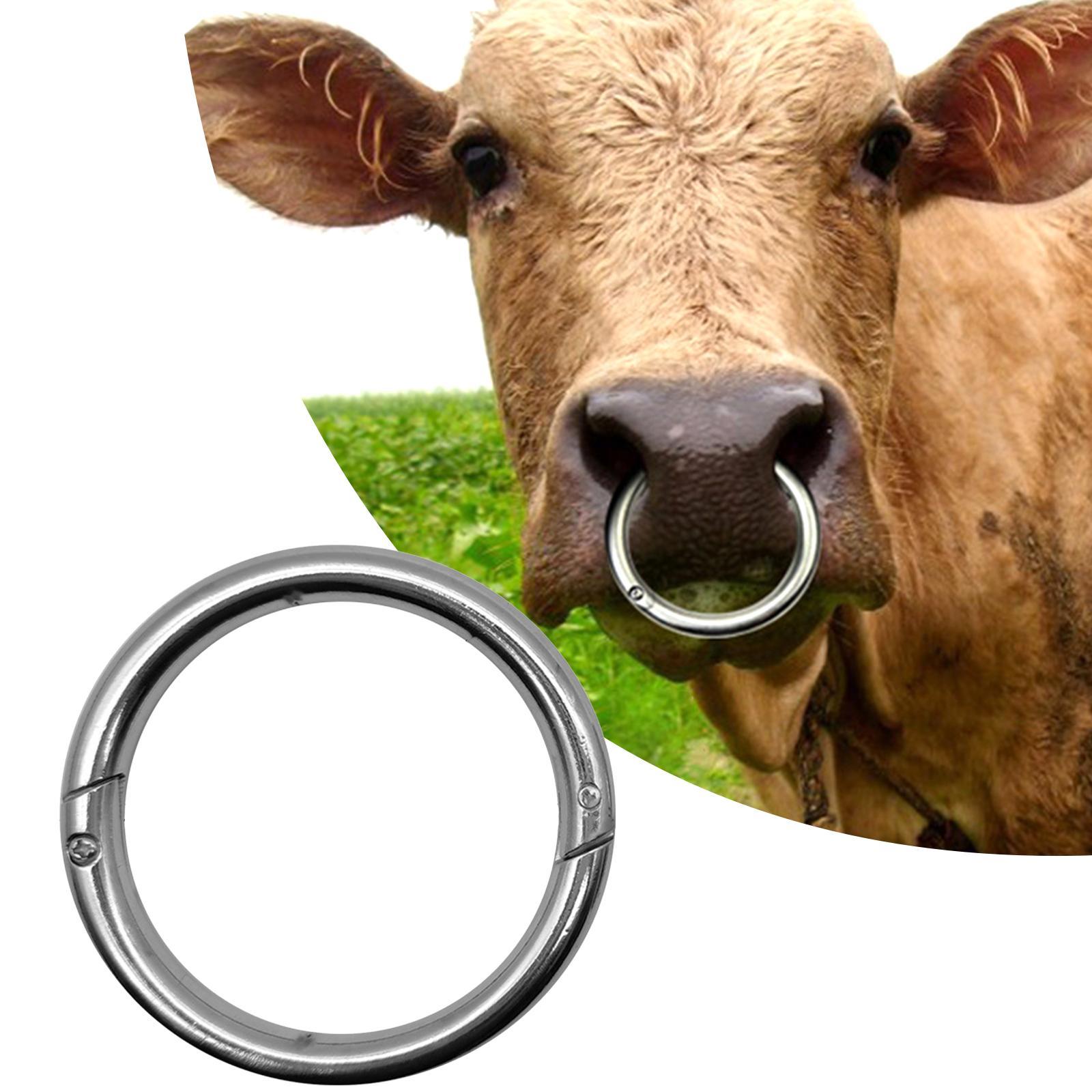 Cattle Nose  Smooth Husbandry Accessory Durable for Supplies Accessories
