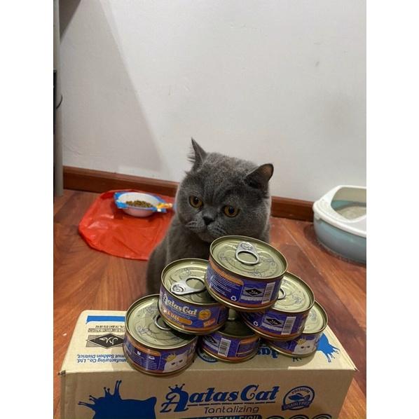 Pate lon Aatas Cat pate dinh dưỡng mới cao cấp cho mèo lon 80g đủ vị