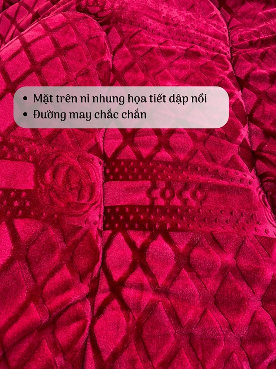 Chăn Nỉ Lông Cừu COCO Siêu Ấm - Mền COCO Xuất Nhật Dày Mịn, Kèm Túi Xách, Kích Thước 2mx2m3, Nặng 4kg - Hàng Chính Hãng MINIIN