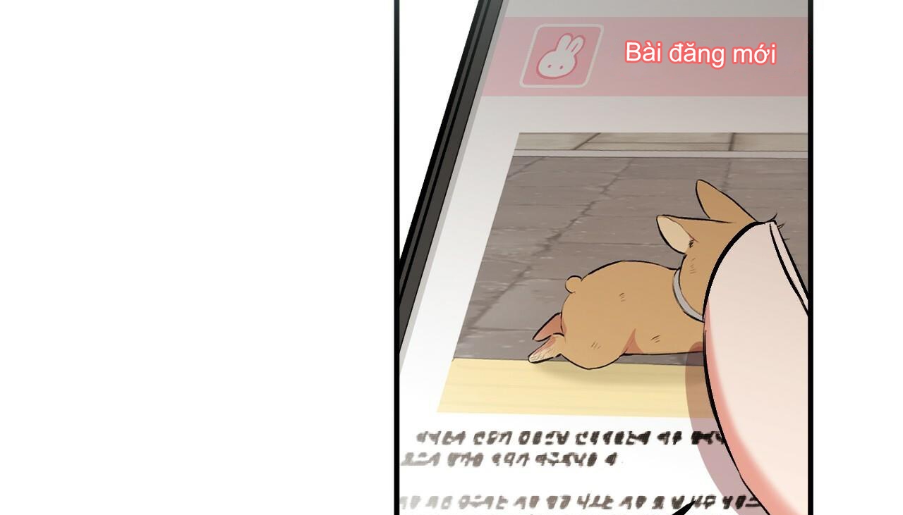 đàn thỏ của habibi chapter 50 102