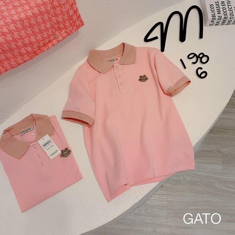 Áo Polo Thêu Gấu Hồng