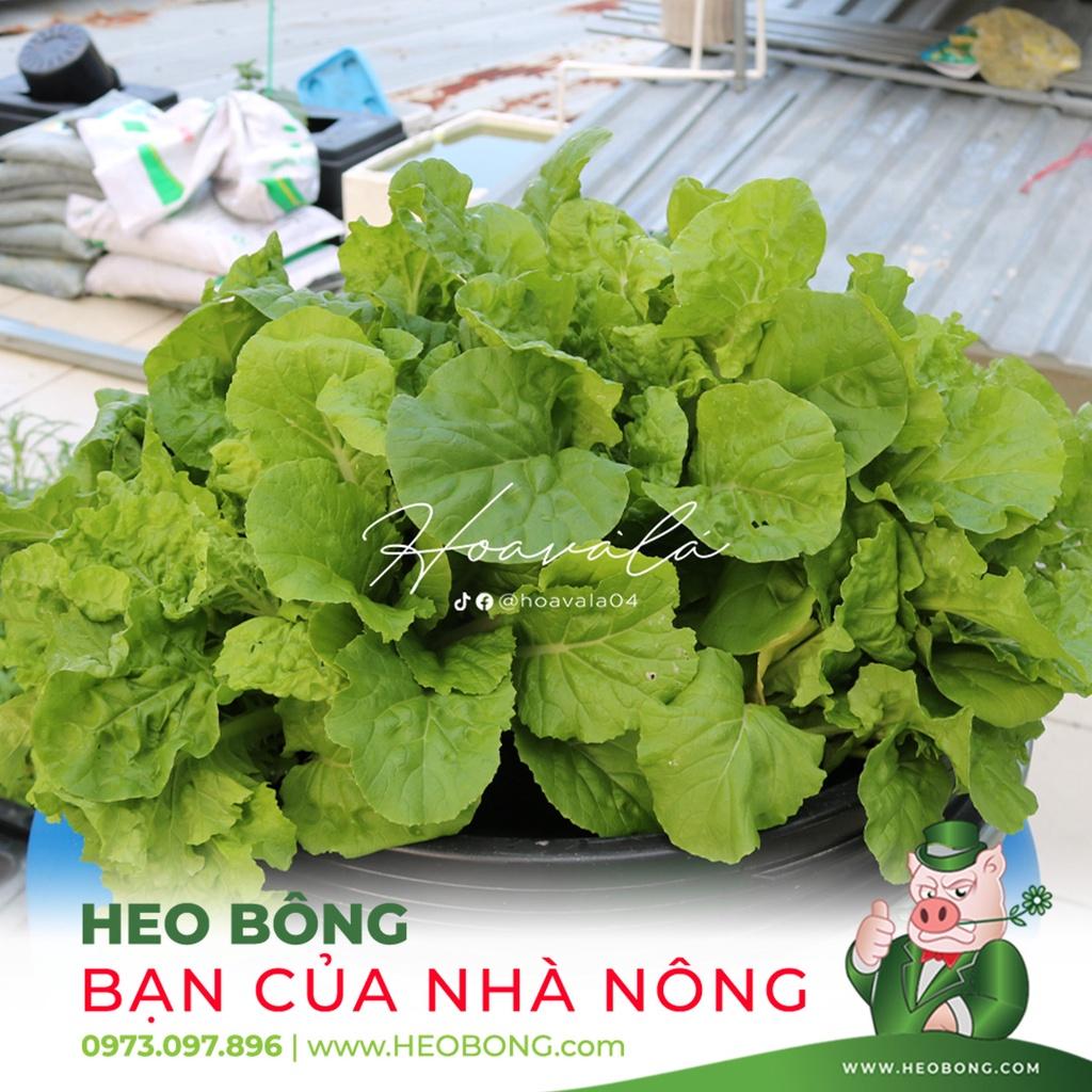 Dinh dưỡng trồng thủy canh Rau Ăn Lá Hydroumat V - 500ml/Chai