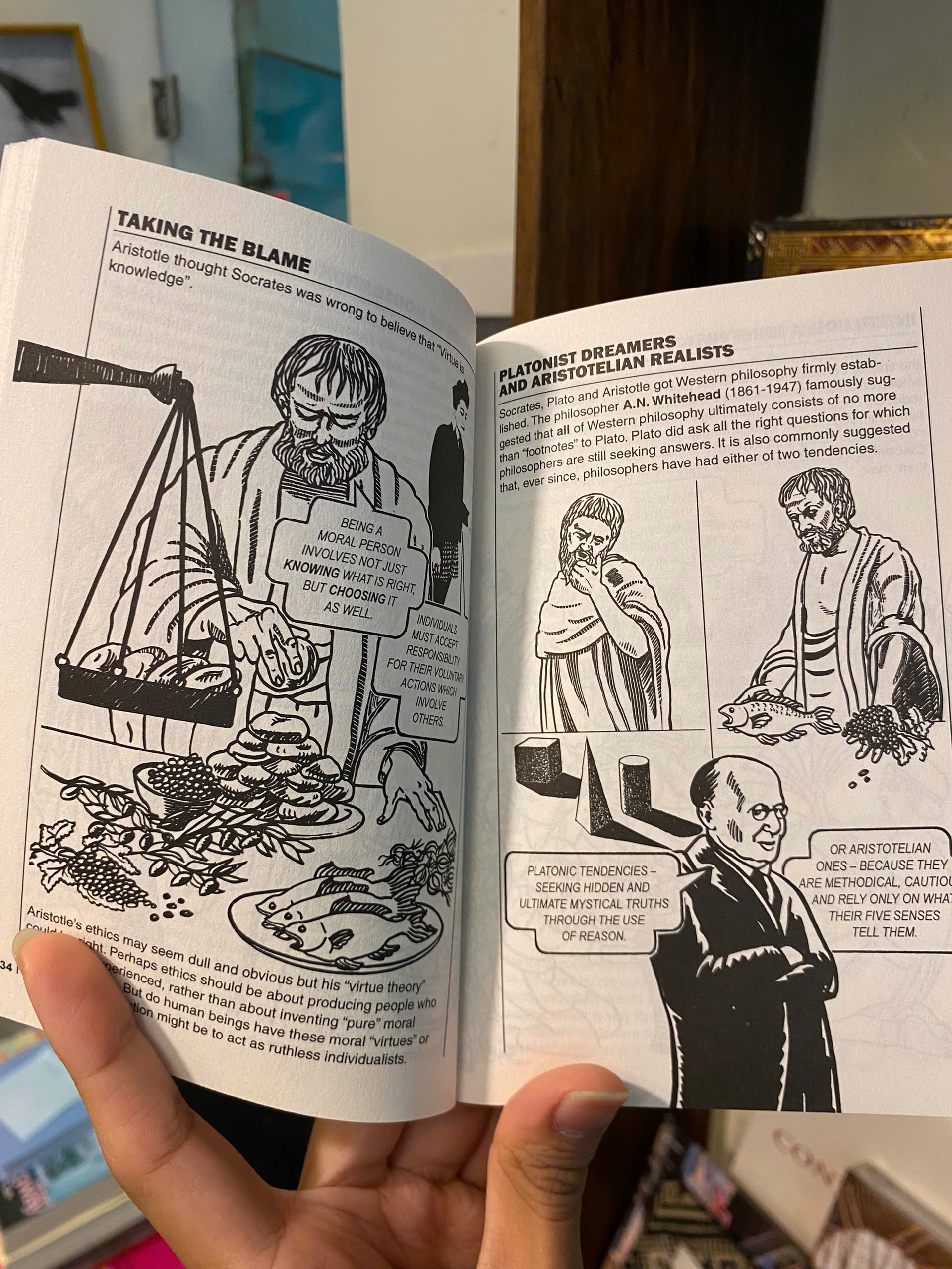 Sách - Introducing Philosophy: A Graphic Guide to the History of Thinking by Dave Robinson