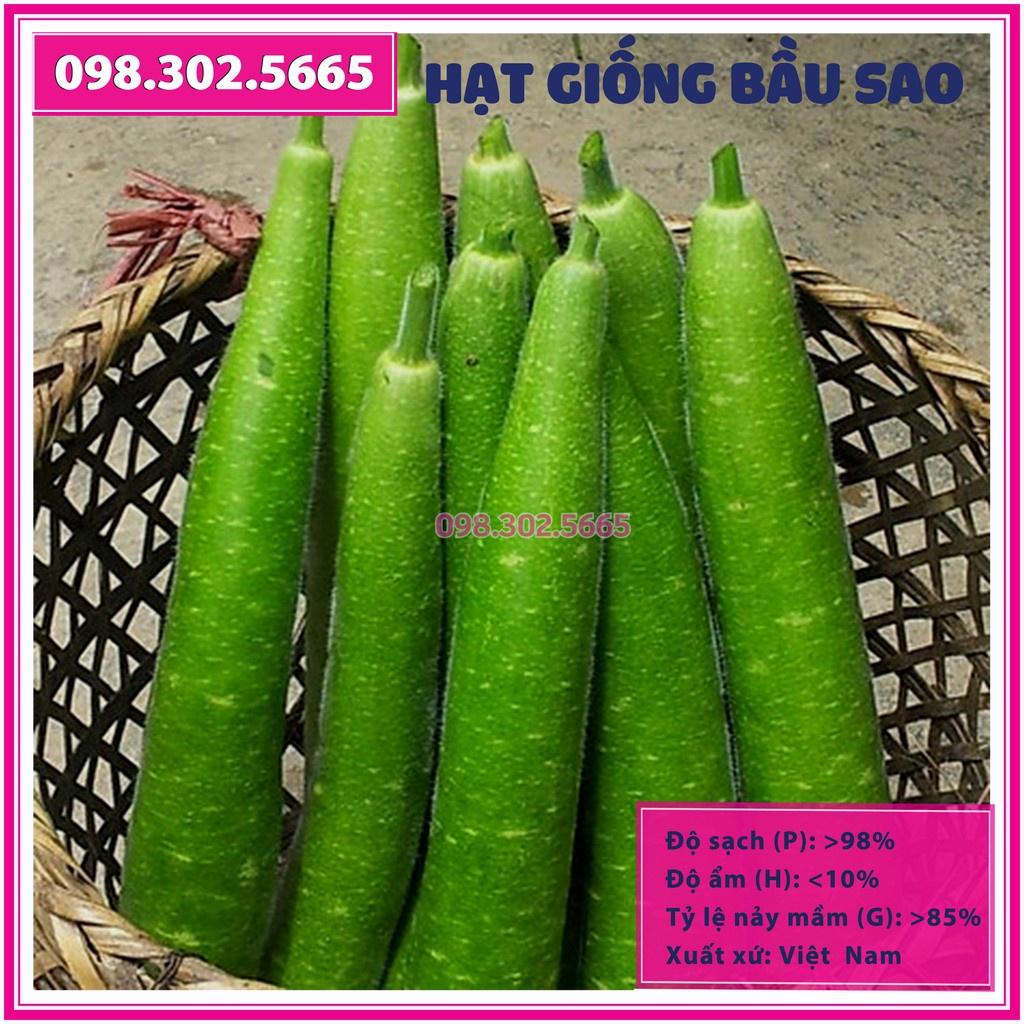 Set 10 Hạt giống bầu sao F1