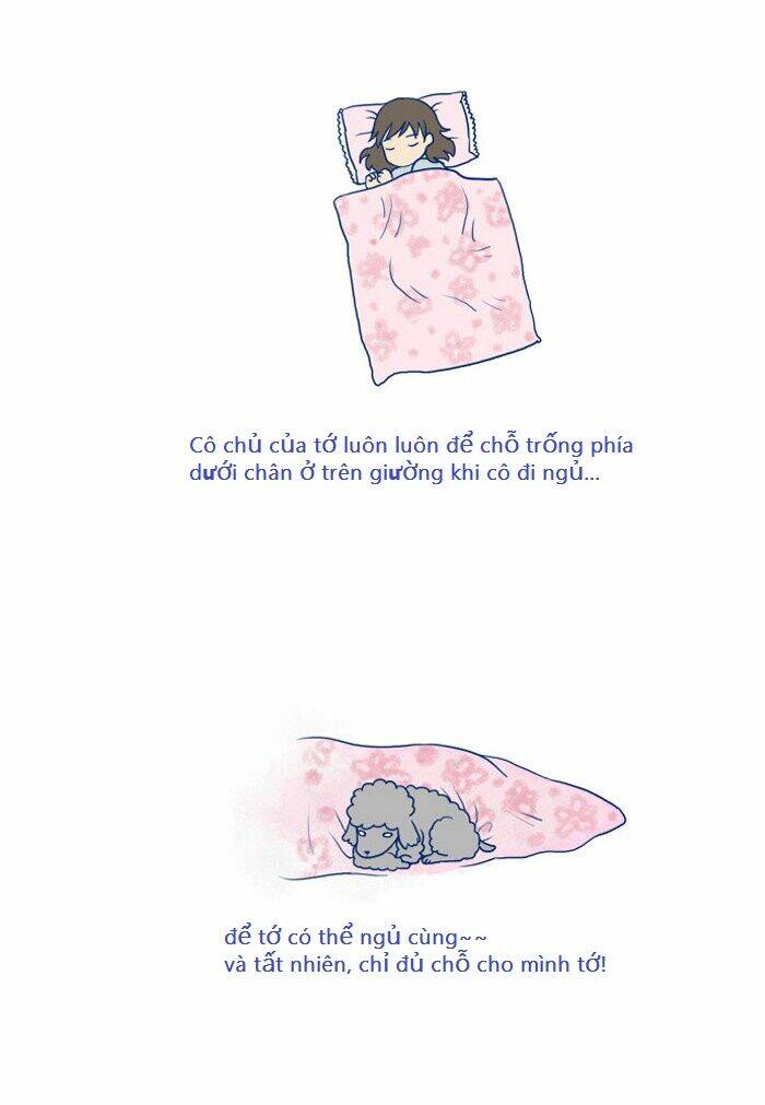 my kitty and old dog chapter 8 3