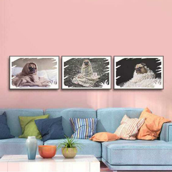 Bộ 3 Tranh Canvas Không Viền Treo Tường Hình Thú &quot;Pug Và Khăn Choàng&quot; W505 (Size
