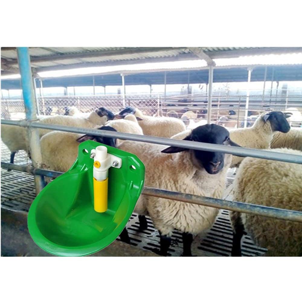 Máng uống nước tự động cho Dê Cừu DN42