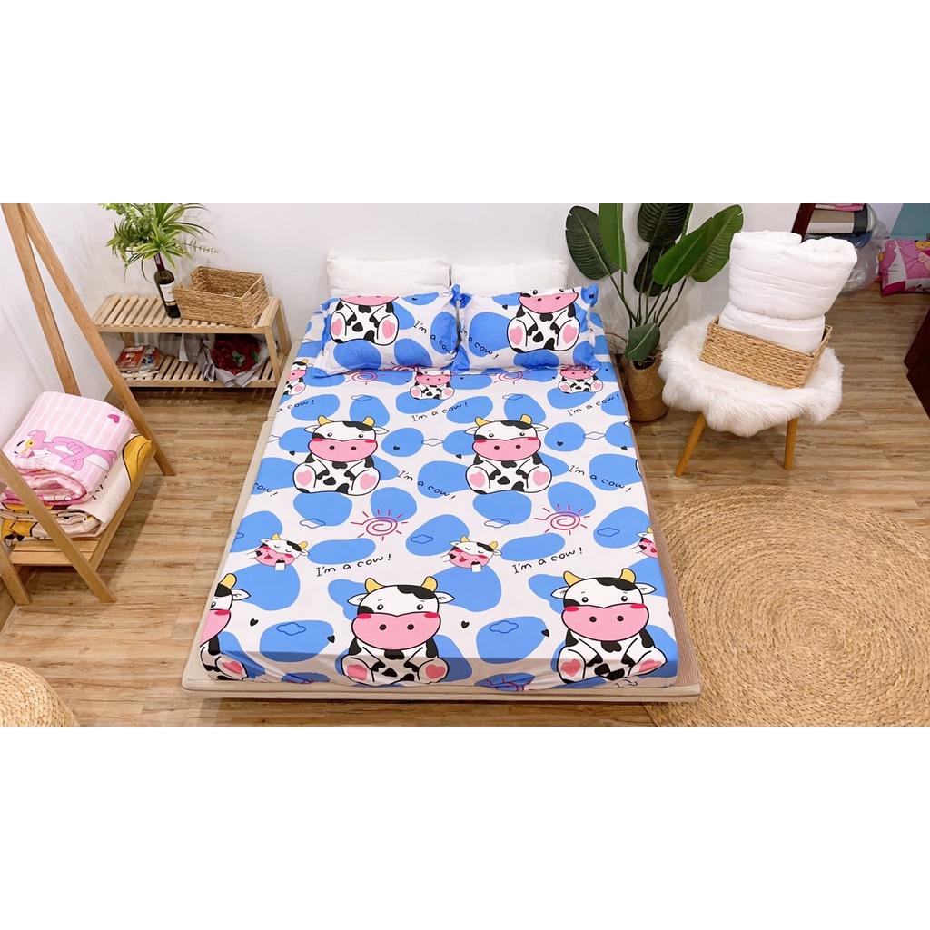 Set ga 3 món 1 ga chun và 2 vỏ gối các kích thước