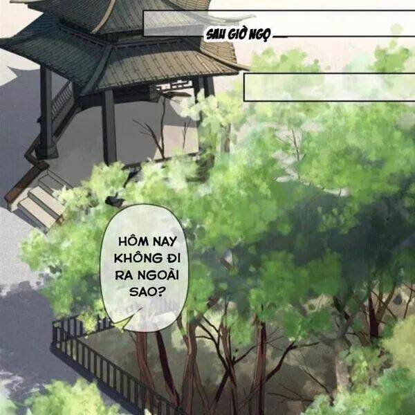 sủng phi của vương chapter 143 8