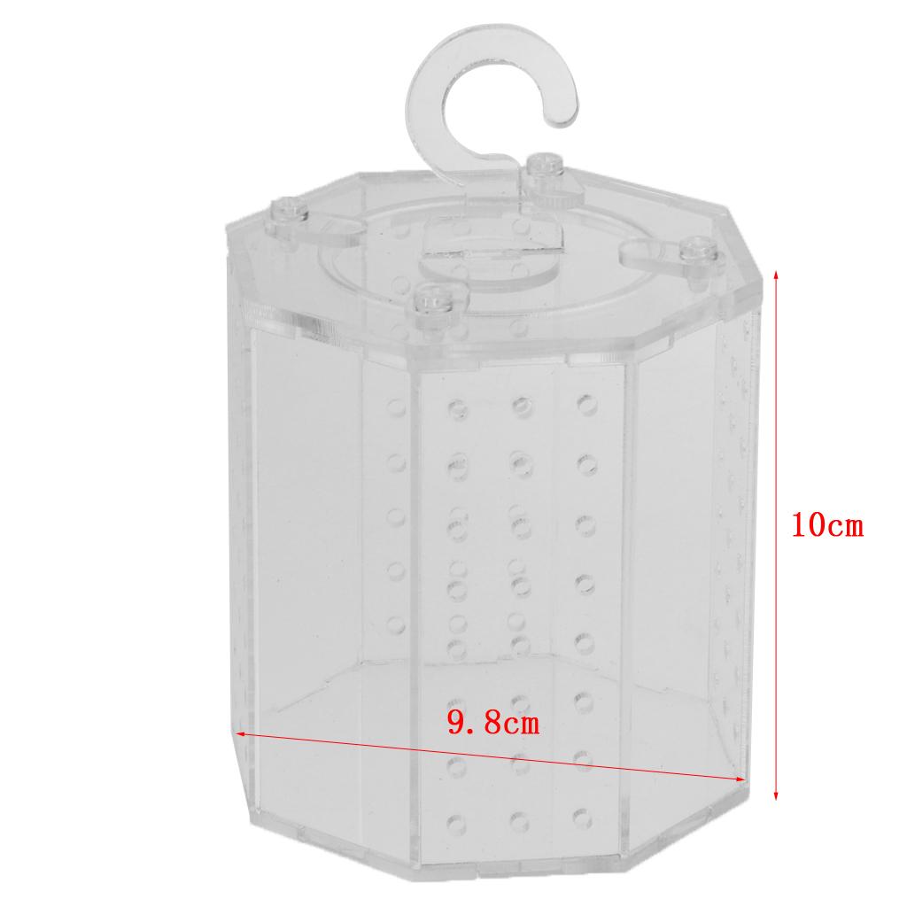 Spider Insect Reptile Tank Vivarium Cage Box Clear Acrylic Terrarium