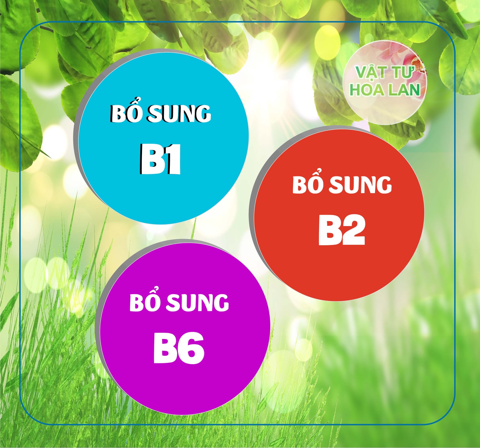Vitamin 3B Chống sốc, giải độc, điều hòa sinh trưởng cho Lan và cây cảnh 100ml