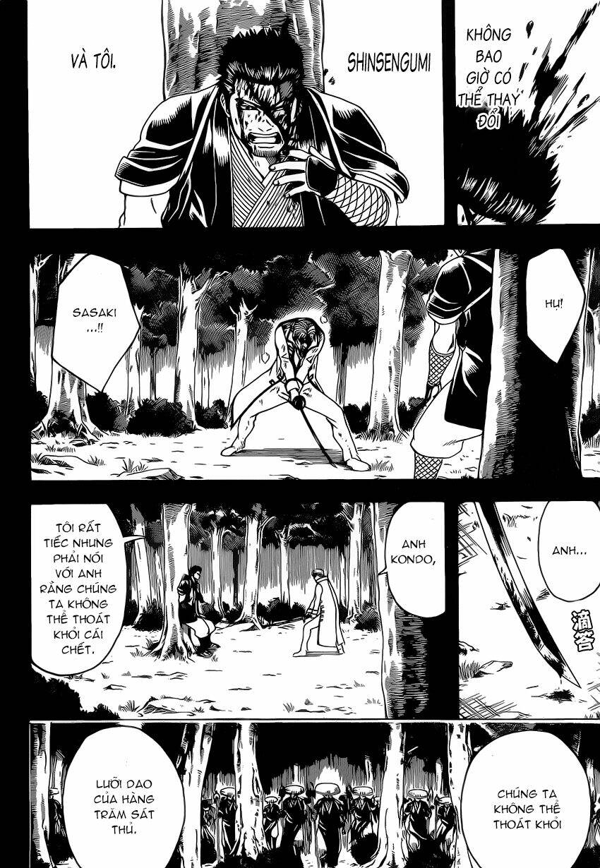 gintama - linh hồn bạc chapter 547 15
