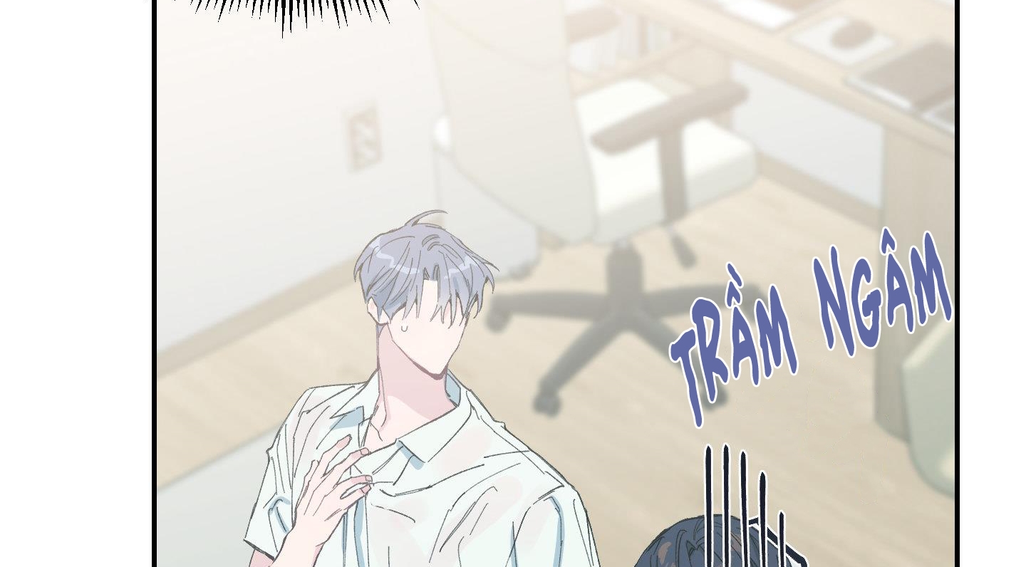 lãng mạn giả dối chapter 13 119