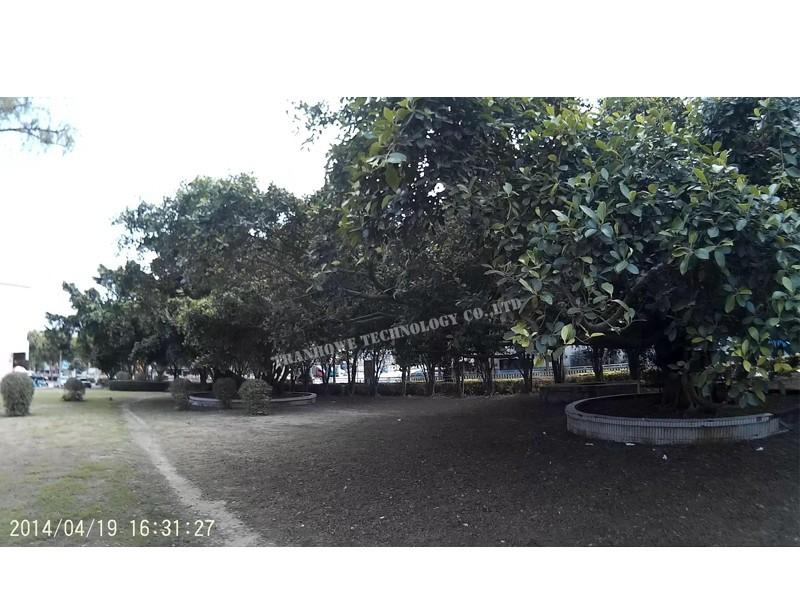 Miễn phí vận chuyển!!