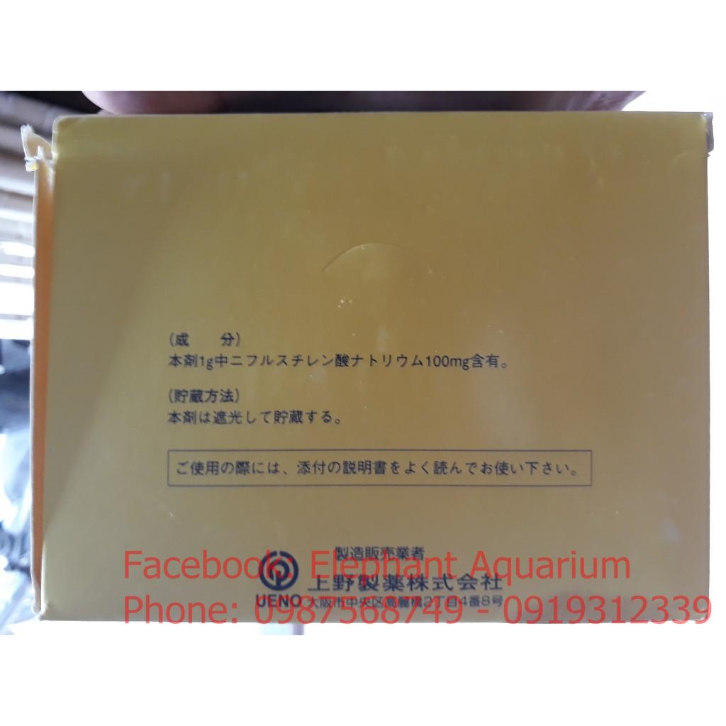 Tetra Nhật cho cá cảnh