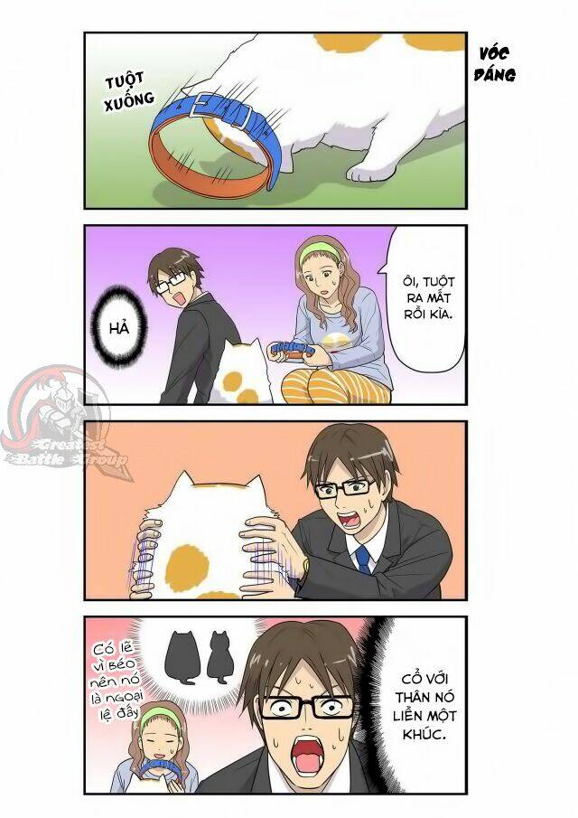 cat is silver vine chapter 6 5