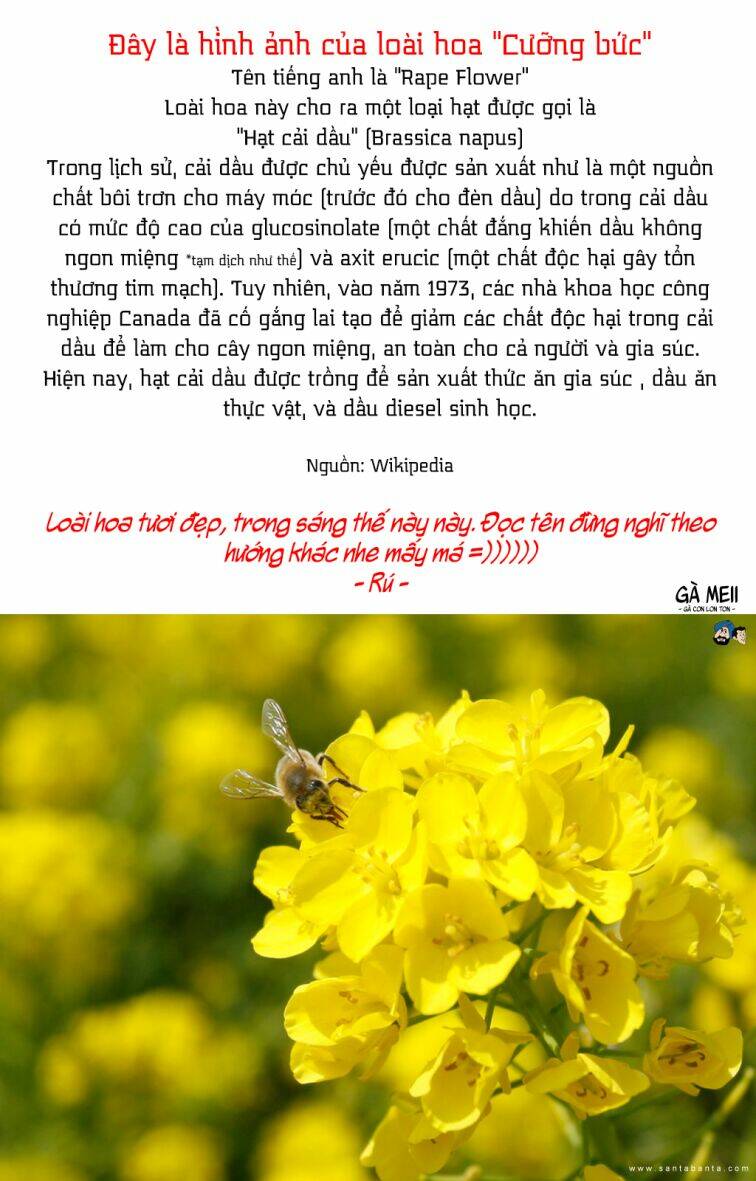 shokubutsu zukan chapter 3 5