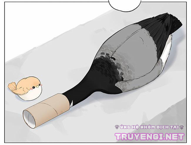 sẻ chiếu mới và nhạn phong sương chapter 3 5